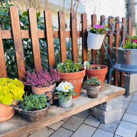 “ruhige Momente” In *