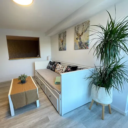 “ruhige Momente” In Apartment Waldkirch