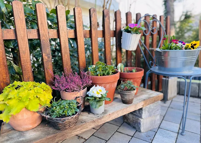 “ruhige Momente” In *